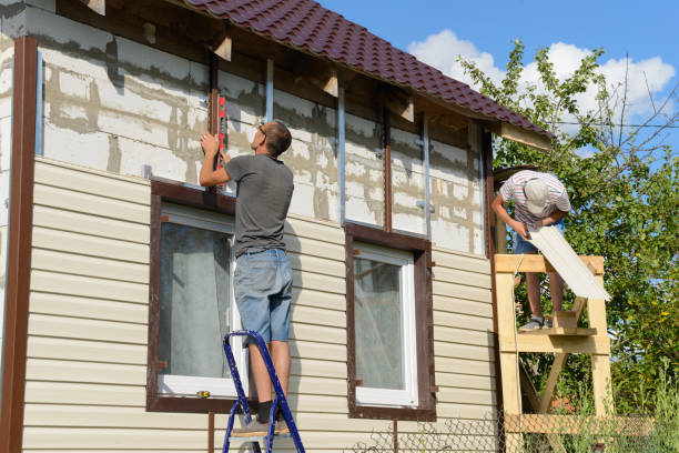 Best Stone Veneer Siding  in Panorama Village, TX